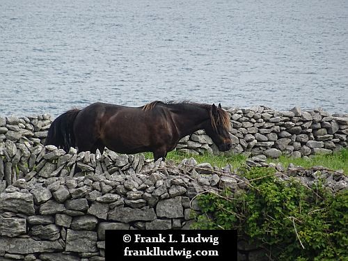 Aran Islands